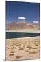Chile, Atacama Desert, Laguna Miscanti, Desert Lake View-Walter Bibikow-Mounted Photographic Print