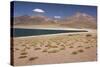 Chile, Atacama Desert, Laguna Miscanti, Desert Lake View-Walter Bibikow-Stretched Canvas