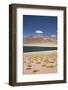 Chile, Atacama Desert, Laguna Miscanti, Desert Lake View-Walter Bibikow-Framed Photographic Print