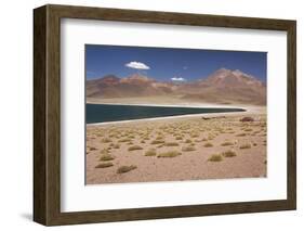 Chile, Atacama Desert, Laguna Miscanti, Desert Lake View-Walter Bibikow-Framed Photographic Print