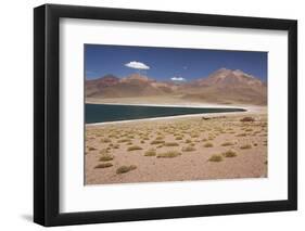 Chile, Atacama Desert, Laguna Miscanti, Desert Lake View-Walter Bibikow-Framed Photographic Print