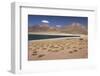 Chile, Atacama Desert, Laguna Miscanti, Desert Lake View-Walter Bibikow-Framed Photographic Print