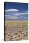 Chile, Atacama Desert, Laguna Miscanti, Desert Landscape-Walter Bibikow-Stretched Canvas