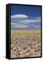 Chile, Atacama Desert, Laguna Miscanti, Desert Landscape-Walter Bibikow-Framed Stretched Canvas