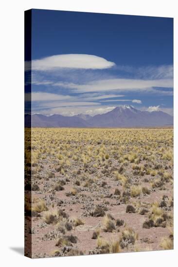 Chile, Atacama Desert, Laguna Miscanti, Desert Landscape-Walter Bibikow-Stretched Canvas