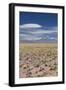 Chile, Atacama Desert, Laguna Miscanti, Desert Landscape-Walter Bibikow-Framed Photographic Print