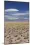 Chile, Atacama Desert, Laguna Miscanti, Desert Landscape-Walter Bibikow-Mounted Photographic Print