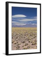 Chile, Atacama Desert, Laguna Miscanti, Desert Landscape-Walter Bibikow-Framed Photographic Print