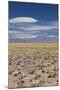 Chile, Atacama Desert, Laguna Miscanti, Desert Landscape-Walter Bibikow-Mounted Photographic Print