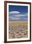 Chile, Atacama Desert, Laguna Miscanti, Desert Landscape-Walter Bibikow-Framed Photographic Print