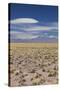 Chile, Atacama Desert, Laguna Miscanti, Desert Landscape-Walter Bibikow-Stretched Canvas