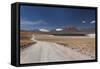 Chile, Atacama Desert, Laguna Miscanti, Desert Road-Walter Bibikow-Framed Stretched Canvas