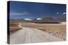 Chile, Atacama Desert, Laguna Miscanti, Desert Road-Walter Bibikow-Stretched Canvas