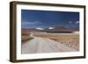 Chile, Atacama Desert, Laguna Miscanti, Desert Road-Walter Bibikow-Framed Photographic Print