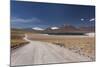 Chile, Atacama Desert, Laguna Miscanti, Desert Road-Walter Bibikow-Mounted Photographic Print
