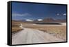 Chile, Atacama Desert, Laguna Miscanti, Desert Road-Walter Bibikow-Framed Stretched Canvas