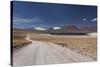 Chile, Atacama Desert, Laguna Miscanti, Desert Road-Walter Bibikow-Stretched Canvas