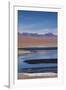 Chile, Atacama Desert, Salar De Aguas Calientes, Salt Pan and Lagoon-Walter Bibikow-Framed Photographic Print