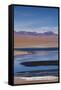 Chile, Atacama Desert, Salar De Aguas Calientes, Salt Pan and Lagoon-Walter Bibikow-Framed Stretched Canvas