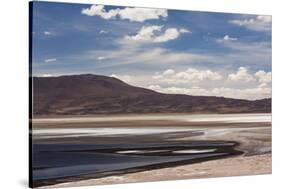 Chile, Atacama Desert, Salar De Aguas Calientes, Salt Pan and Lagoon-Walter Bibikow-Stretched Canvas