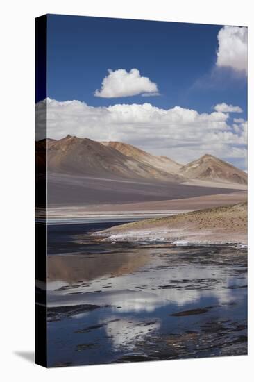 Chile, Atacama Desert, Salar De Aguas Calientes, Salt Pan and Lagoon-Walter Bibikow-Stretched Canvas