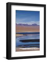 Chile, Atacama Desert, Salar De Aguas Calientes, Salt Pan and Lagoon-Walter Bibikow-Framed Photographic Print