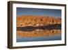 Chile, Atacama Desert, San Pedro De Atacama, Red Rock Reflection-Walter Bibikow-Framed Photographic Print