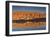 Chile, Atacama Desert, San Pedro De Atacama, Red Rock Reflection-Walter Bibikow-Framed Photographic Print
