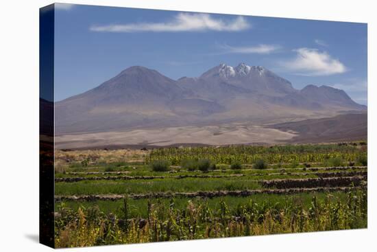 Chile, Atacama Desert, Socaire, Mountains and Fields-Walter Bibikow-Stretched Canvas