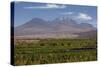 Chile, Atacama Desert, Socaire, Mountains and Fields-Walter Bibikow-Stretched Canvas