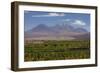 Chile, Atacama Desert, Socaire, Mountains and Fields-Walter Bibikow-Framed Photographic Print