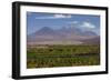 Chile, Atacama Desert, Socaire, Mountains and Fields-Walter Bibikow-Framed Photographic Print