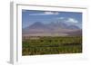 Chile, Atacama Desert, Socaire, Mountains and Fields-Walter Bibikow-Framed Photographic Print