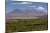 Chile, Atacama Desert, Socaire, Mountains and Fields-Walter Bibikow-Mounted Photographic Print