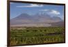 Chile, Atacama Desert, Socaire, Mountains and Fields-Walter Bibikow-Framed Photographic Print