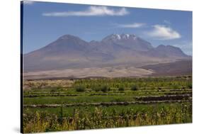 Chile, Atacama Desert, Socaire, Mountains and Fields-Walter Bibikow-Stretched Canvas