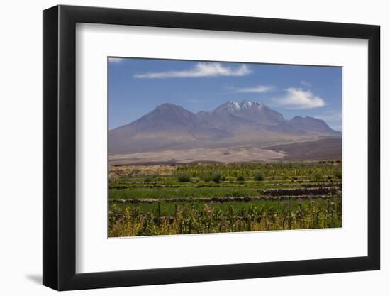 Chile, Atacama Desert, Socaire, Mountains and Fields-Walter Bibikow-Framed Photographic Print