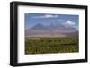 Chile, Atacama Desert, Socaire, Mountains and Fields-Walter Bibikow-Framed Photographic Print