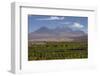 Chile, Atacama Desert, Socaire, Mountains and Fields-Walter Bibikow-Framed Photographic Print