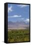 Chile, Atacama Desert, Sociare, Mountains and Fields-Walter Bibikow-Framed Stretched Canvas