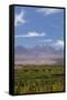 Chile, Atacama Desert, Sociare, Mountains and Fields-Walter Bibikow-Framed Stretched Canvas