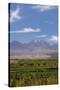 Chile, Atacama Desert, Sociare, Mountains and Fields-Walter Bibikow-Stretched Canvas