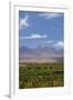 Chile, Atacama Desert, Sociare, Mountains and Fields-Walter Bibikow-Framed Photographic Print