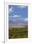 Chile, Atacama Desert, Sociare, Mountains and Fields-Walter Bibikow-Framed Photographic Print