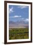 Chile, Atacama Desert, Sociare, Mountains and Fields-Walter Bibikow-Framed Photographic Print