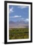 Chile, Atacama Desert, Sociare, Mountains and Fields-Walter Bibikow-Framed Photographic Print