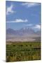 Chile, Atacama Desert, Sociare, Mountains and Fields-Walter Bibikow-Mounted Photographic Print