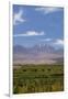 Chile, Atacama Desert, Sociare, Mountains and Fields-Walter Bibikow-Framed Photographic Print