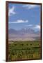 Chile, Atacama Desert, Sociare, Mountains and Fields-Walter Bibikow-Framed Photographic Print