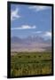 Chile, Atacama Desert, Sociare, Mountains and Fields-Walter Bibikow-Framed Photographic Print